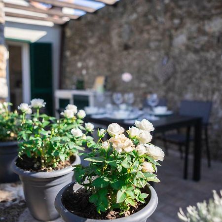 Ferienwohnung Gardenhouse Sarzana Exterior foto